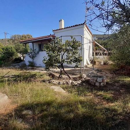 Elafonisos Detached House In Quiet Olive Grove, Starlink Internet & Smart Projector! Villa Exterior photo