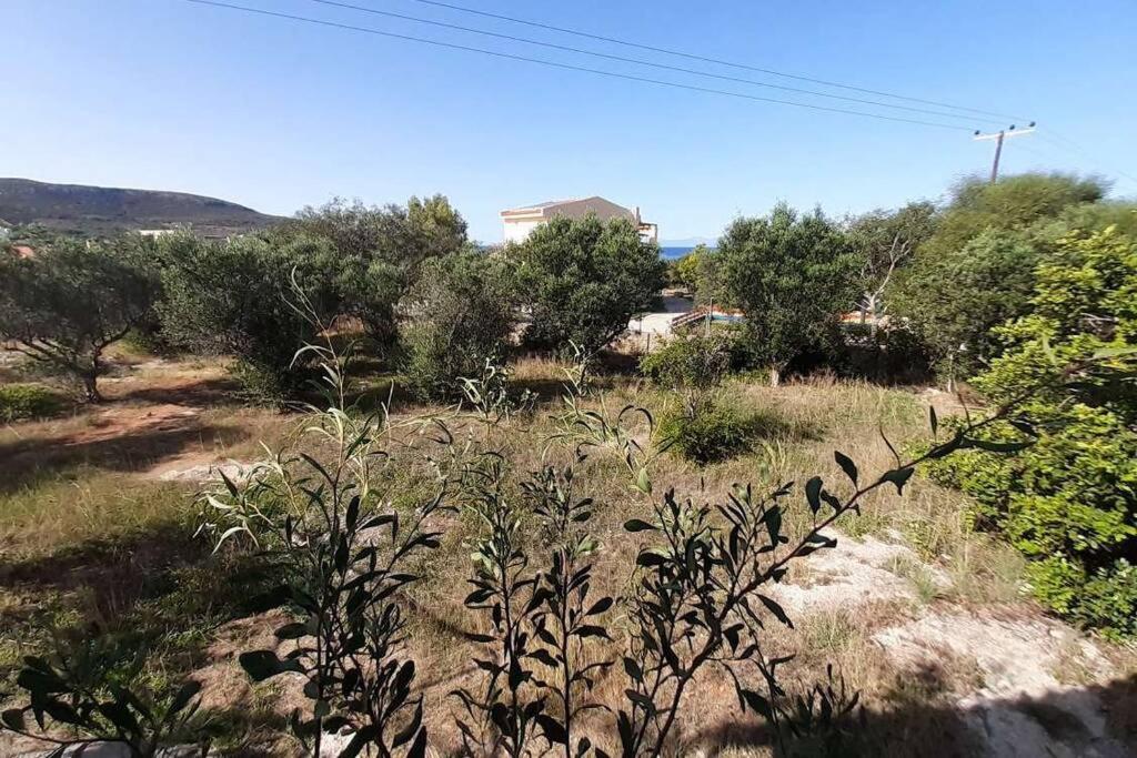 Elafonisos Detached House In Quiet Olive Grove, Starlink Internet & Smart Projector! Villa Exterior photo