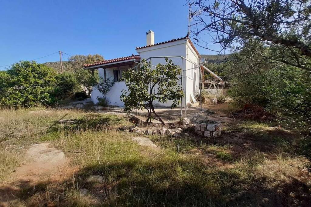 Elafonisos Detached House In Quiet Olive Grove, Starlink Internet & Smart Projector! Villa Exterior photo